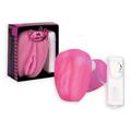  VAGINA POCKET PAL