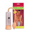 DEVELOPER STALLION